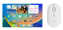 AppleScreen 10,9"