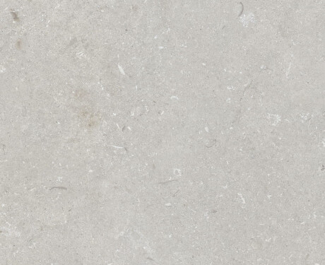 Lattialaatta 60x120 cm, vaaleanharmaa, matta, A4H1093 Shellstone Bianco