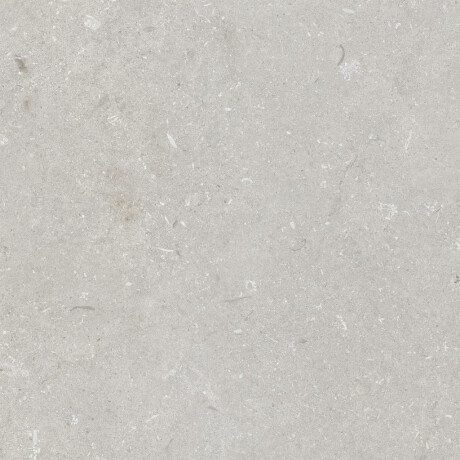 Lattialaatta 60x120 cm, vaaleanharmaa, matta, A4H1093 Shellstone Bianco #1