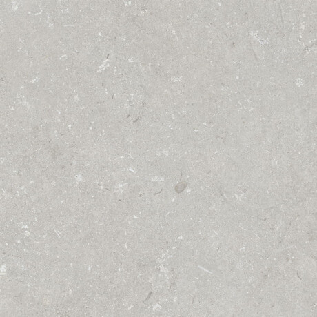 Lattialaatta 60x120 cm, vaaleanharmaa, matta, A4H1093 Shellstone Bianco #2
