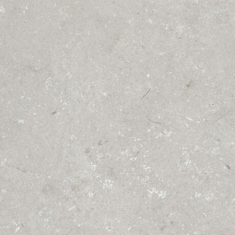 Lattialaatta 60x120 cm, vaaleanharmaa, matta, A4H1093 Shellstone Bianco #3