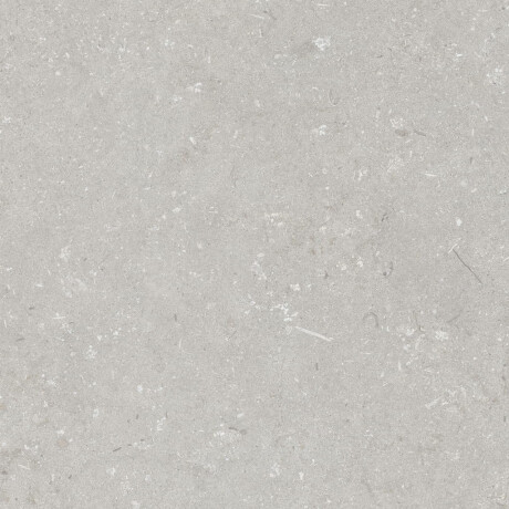 Lattialaatta 60x120 cm, vaaleanharmaa, matta, A4H1093 Shellstone Bianco #4