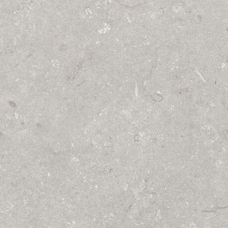 Lattialaatta 60x120 cm, vaaleanharmaa, matta, A4H1093 Shellstone Bianco #5