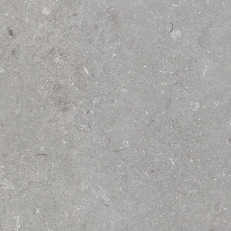 Lattialaatta 60x120 cm, harmaa matta A4H1096 Shellstone Grigio #4