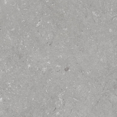 Lattialaatta 60x120 cm, harmaa matta A4H1096 Shellstone Grigio #5