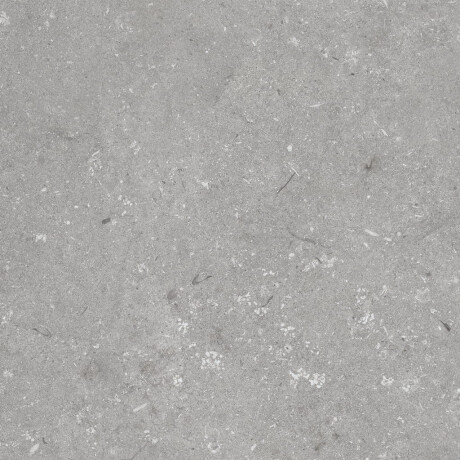 Lattialaatta 60x120 cm, harmaa matta A4H1096 Shellstone Grigio #6