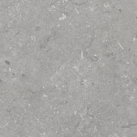 Lattialaatta 60x120 cm, harmaa matta A4H1096 Shellstone Grigio #8