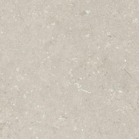 Lattialaatta 60x120 cm, beige, matta A4H1099 Shellstone Beige #6