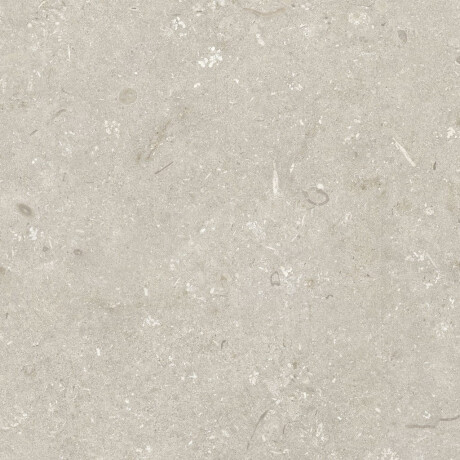 Lattialaatta 60x120 cm, beige, matta A4H1099 Shellstone Beige #7
