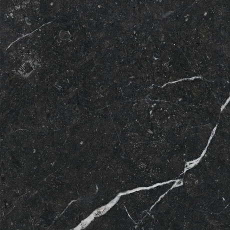 Lasitettu lattialaatta 60x120, kultaisella juovalla, mattapintainen, rektifioitu, A4H110 Pierre Black #15