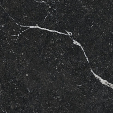 Lasitettu lattialaatta 60x120, kultaisella juovalla, mattapintainen, rektifioitu, A4H110 Pierre Black #19