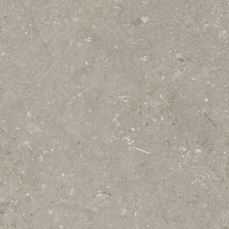 Lattialaatta 60x120 cm, taupe, matta, A4H1102 Shellstone Taupe #4