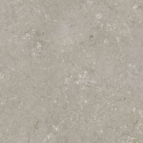 Lattialaatta 60x120 cm, taupe, matta, A4H1102 Shellstone Taupe #5
