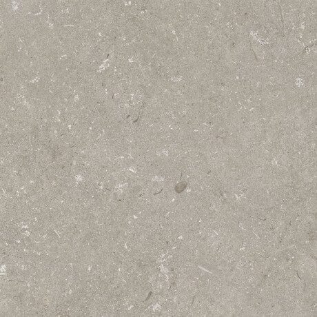Lattialaatta 60x120 cm, taupe, matta, A4H1102 Shellstone Taupe #7