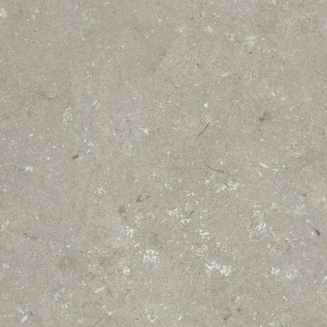 Lattialaatta 60x120 cm, taupe, matta, A4H1102 Shellstone Taupe #8