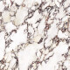 Suurikokoinen 120x280-kokoinen marmorikivi, jossa on violetteja suonia, matta, A4H844 Calakatta Wiola #1