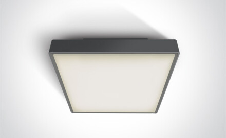 PIRNARI AN kattovalaisin 24 W 3000 K IP65 harmaa