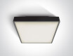 PIRNARI EA kattovalaisin 2x12W E27 IP65 antrasiitti