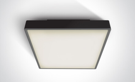 PIRNARI EA kattovalaisin 2x12W E27 IP65 antrasiitti