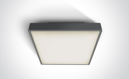 PIRNARI EA kattovalaisin 2x12W E27 IP65 valkoinen