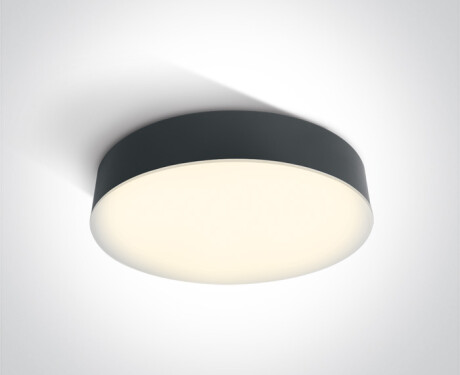 PASIO kattovalaisin 30 W 3000 K IP54 valkoinen